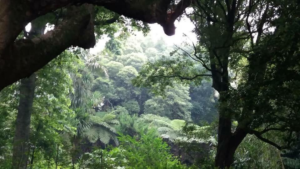 Casa Das Lapinhas Lagoa  Kültér fotó